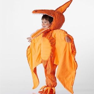 Pottery Barn Light-Up Pterodactyl Halloween Costume